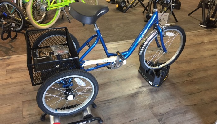 recumbent trike trainer